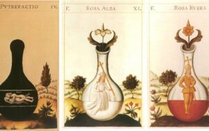 The Art of Alchemy