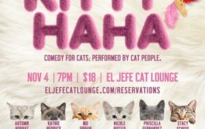 KITTY HAHA COMEDY NIGHT FOR CATS; PERFORMED BY CAT PEOPLE!