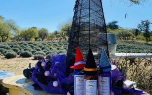Fun Witch Festival at the Lavender Farm in Oracle on Saturday October 29th at 3pm!