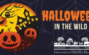 Halloween in the Wild