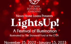LightsUp! A Festival of Illumination