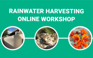 Rainwater Harvesting Online Workshop – English