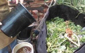 Sustainable Tucson Monthly Meeting - Composting in the Desert