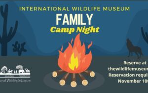 Family Camp Night
