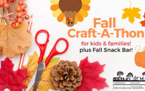 Fall Craft-a-Thon