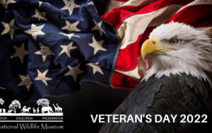 FREE Admission for Military on Veteran's Day