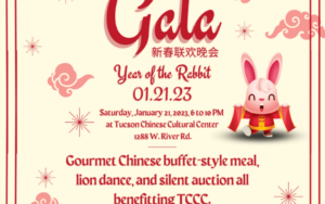 Lunar New Year Gala