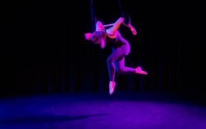 Young Adult Aerial Trapeze (Spring Session)