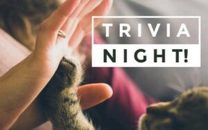 Cat Trivia Night