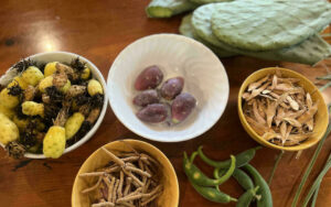 Hydrate at the Living Lab: Cultivating Native Edible Landscapes