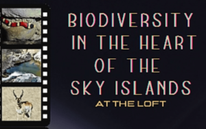 Biodiversity in the Heart of the Sky Islands