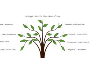 Raja Yoga: The Eight Limbs of Yoga Philosophy