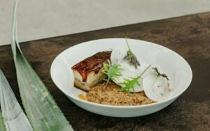 Nocheluna Agave Heritage Dinner