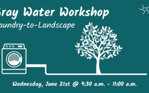 Gray Water Online Workshop – English