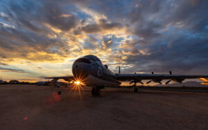 Night Wings