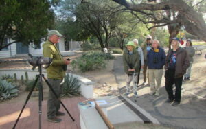 Birding Agua Caliente Park