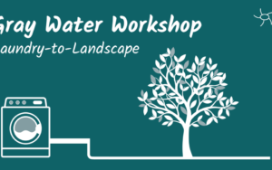 Gray Water Online Workshop – English