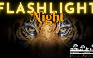 Flashlight Night