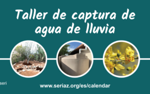 Taller de captura de agua de lluvia en persona – Español