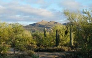 Tortolita Preserve Nature Trek