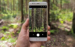 Cell Phone Photography