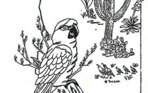 Tucson Fall Bird Expo
