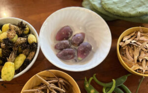 Hydrate at the Living Lab: Cultivating Native Edibles