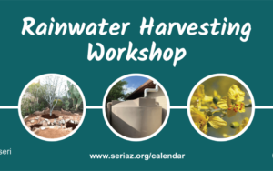Rainwater Harvesting In-Person Workshop – English