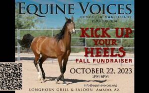 Kick Up Your Heels