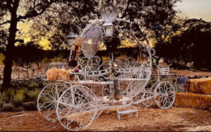 Belle Visiting the Lavender Farm on Saturday October 28th during our Fall Celebration!
