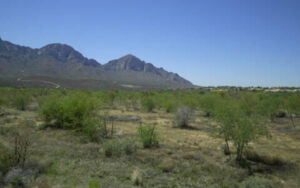 Big Wash Nature Trek