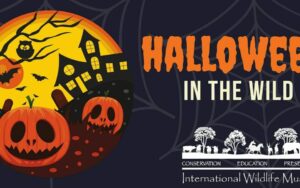 Halloween in the Wild