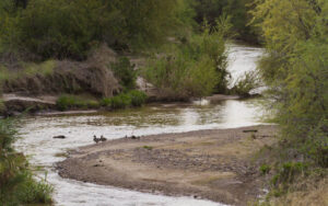 Living River Ramble