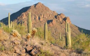 Arrastre Wash Nature Hike with a Geology Twist