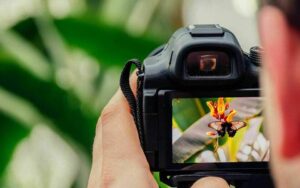 Photography Basics