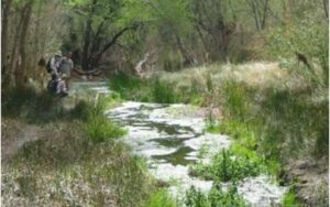Connecting with the Land - tours and information about the Cienega Creek Watershed.