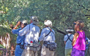 Birding Agua Caliente Park