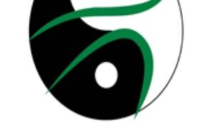 Tai Chi Flow - Intermediate level