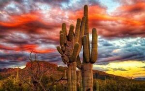 Tucson Psychic & Healing Fair