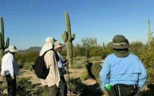 Wild Skills: Let's Hike Enchanted Hills!